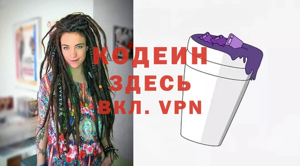 соль ск Вяземский