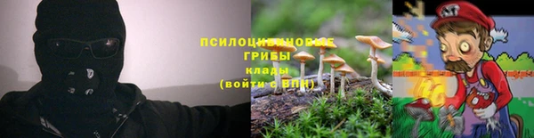 соль ск Вяземский