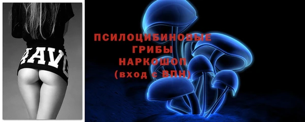 СК Горняк