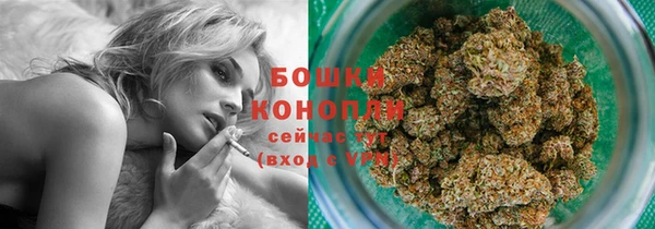 МДПВ Горно-Алтайск