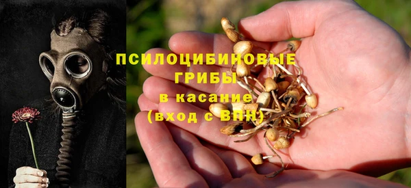 mdpv Вязники