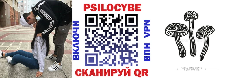 Псилоцибиновые грибы Cubensis  Купить где  Белинский 